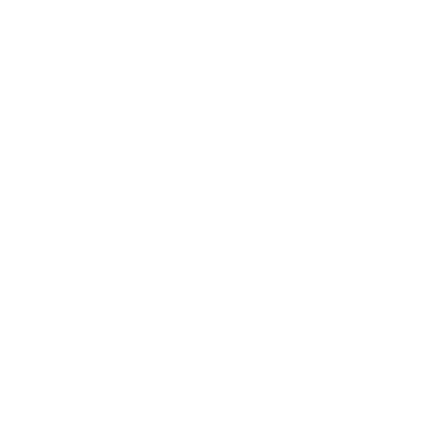 LOGO TDR.png